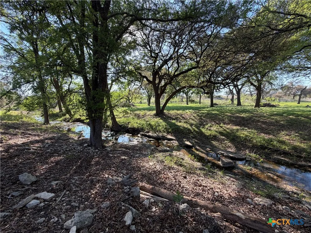 118 Guadalupe Drive Oglesby, TX 76561
