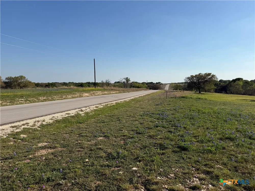 118 Guadalupe Drive Oglesby, TX 76561