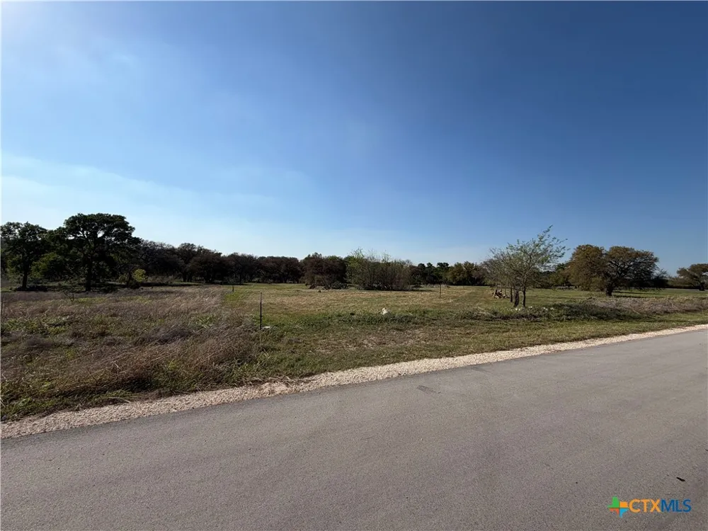 118 Guadalupe Drive Oglesby, TX 76561