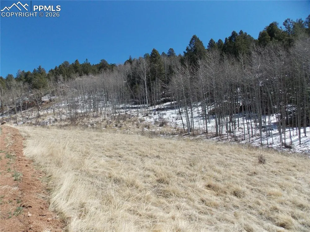 388 Grey Eagle Drive Cripple Creek, CO 80813