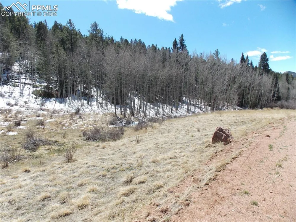 388 Grey Eagle Drive Cripple Creek, CO 80813