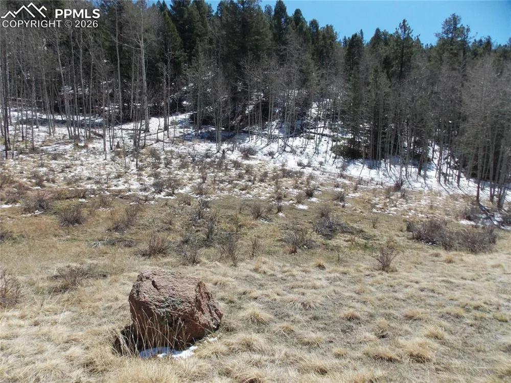 388 Grey Eagle Drive Cripple Creek, CO 80813