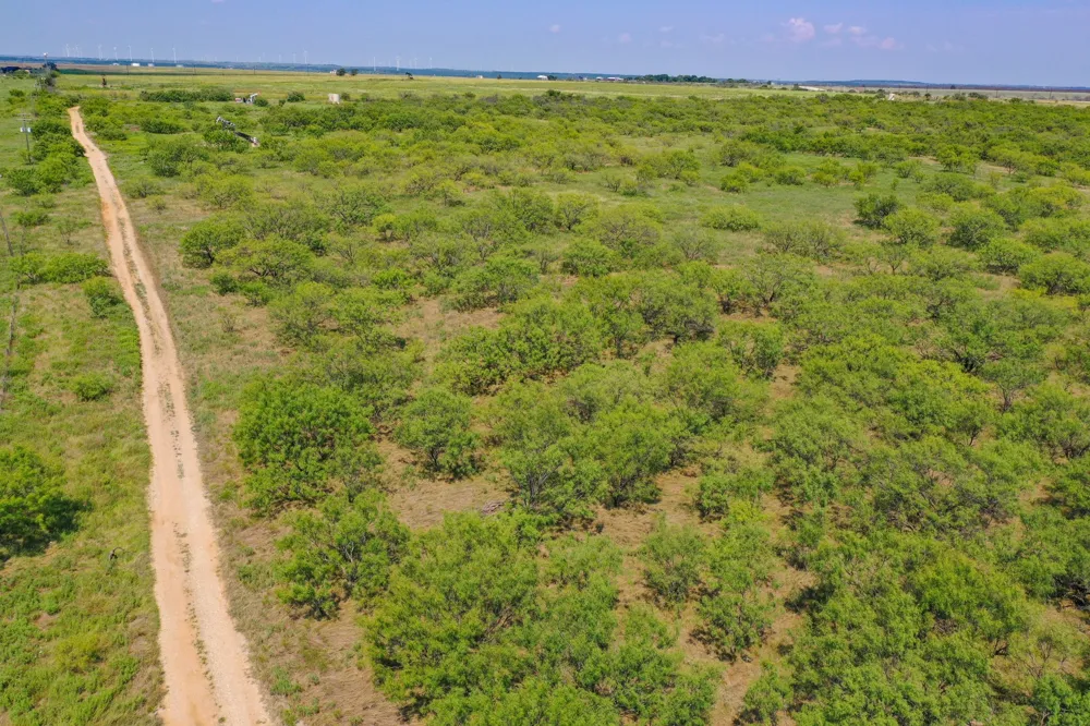 54 Hwy 199 Road Jacksboro, TX 76458