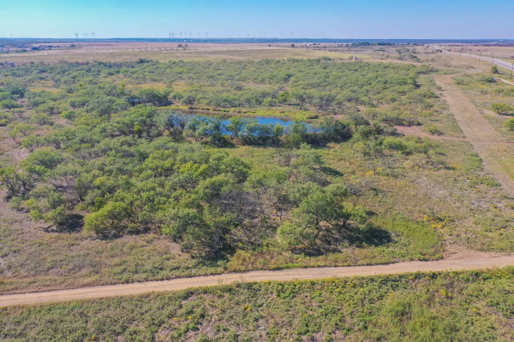 54 Hwy 199 Road Jacksboro, TX 76458