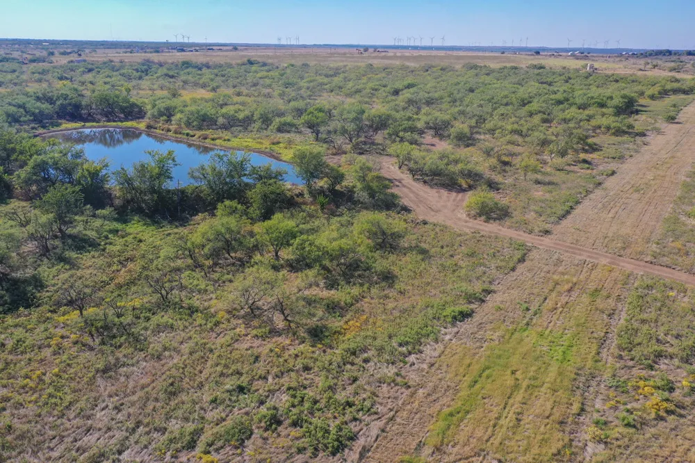54 Hwy 199 Road Jacksboro, TX 76458