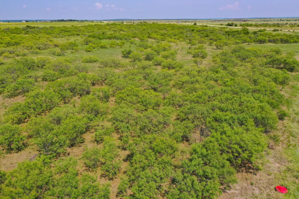 54 Hwy 199 Road Jacksboro, TX 76458