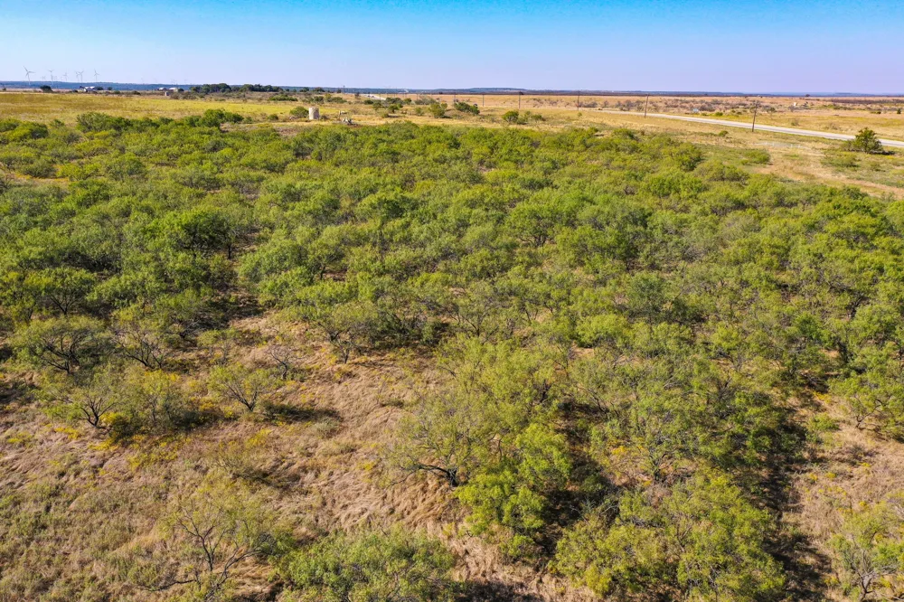 54 Hwy 199 Road Jacksboro, TX 76458