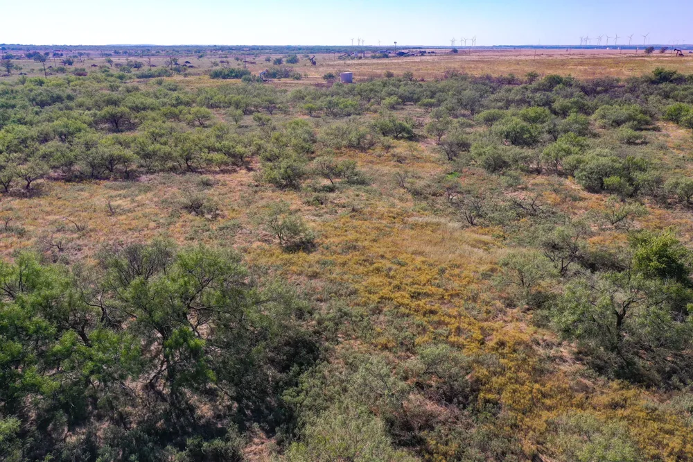 54 Hwy 199 Road Jacksboro, TX 76458