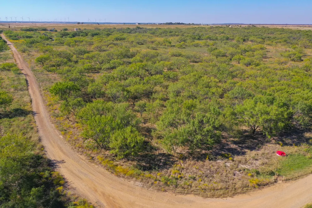 54 Hwy 199 Road Jacksboro, TX 76458