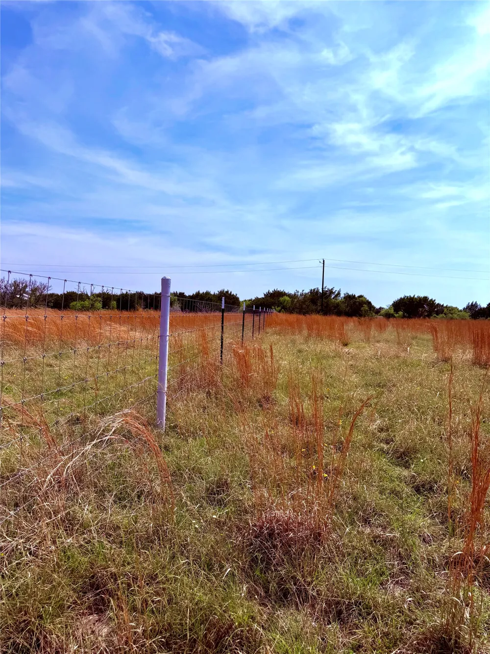 39 county road 330 Goldthwaite, TX 76844