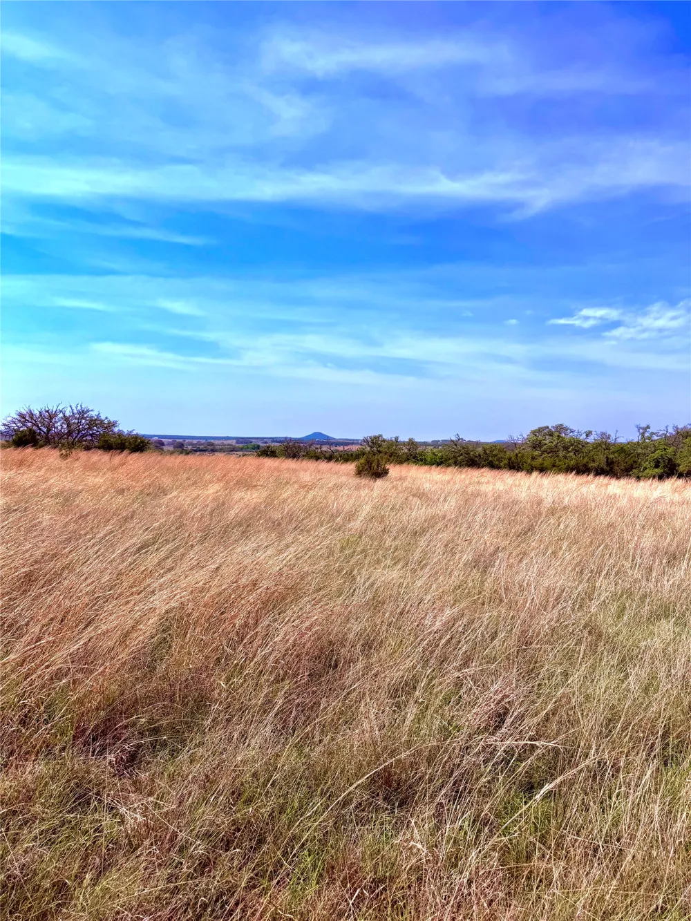 39 county road 330 Goldthwaite, TX 76844