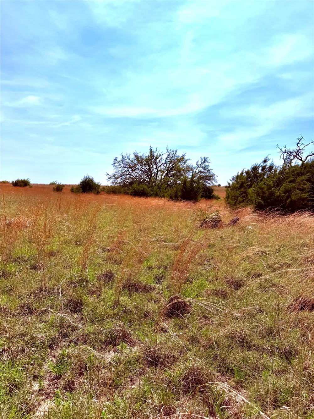 39 county road 330 Goldthwaite, TX 76844