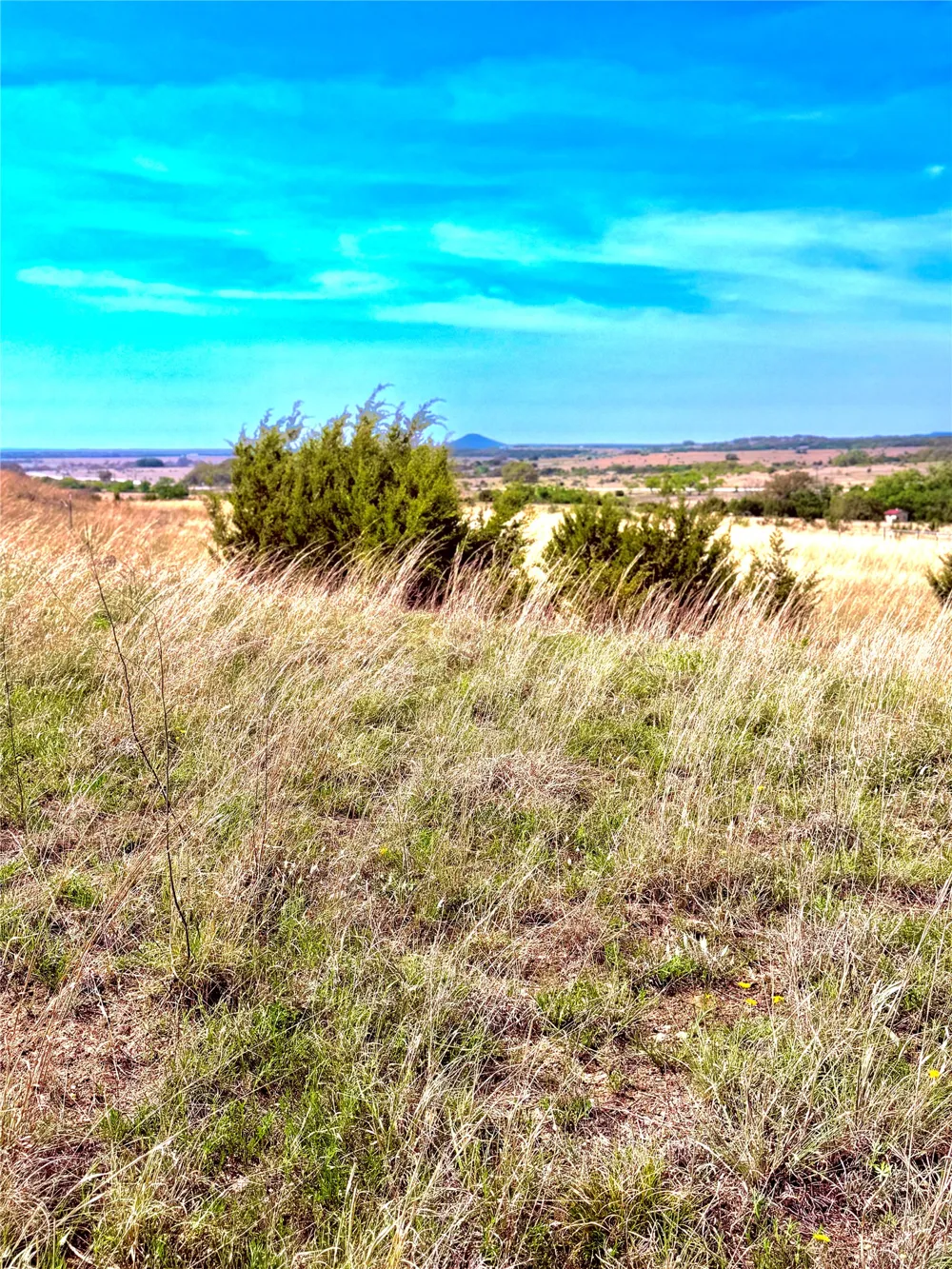 39 county road 330 Goldthwaite, TX 76844