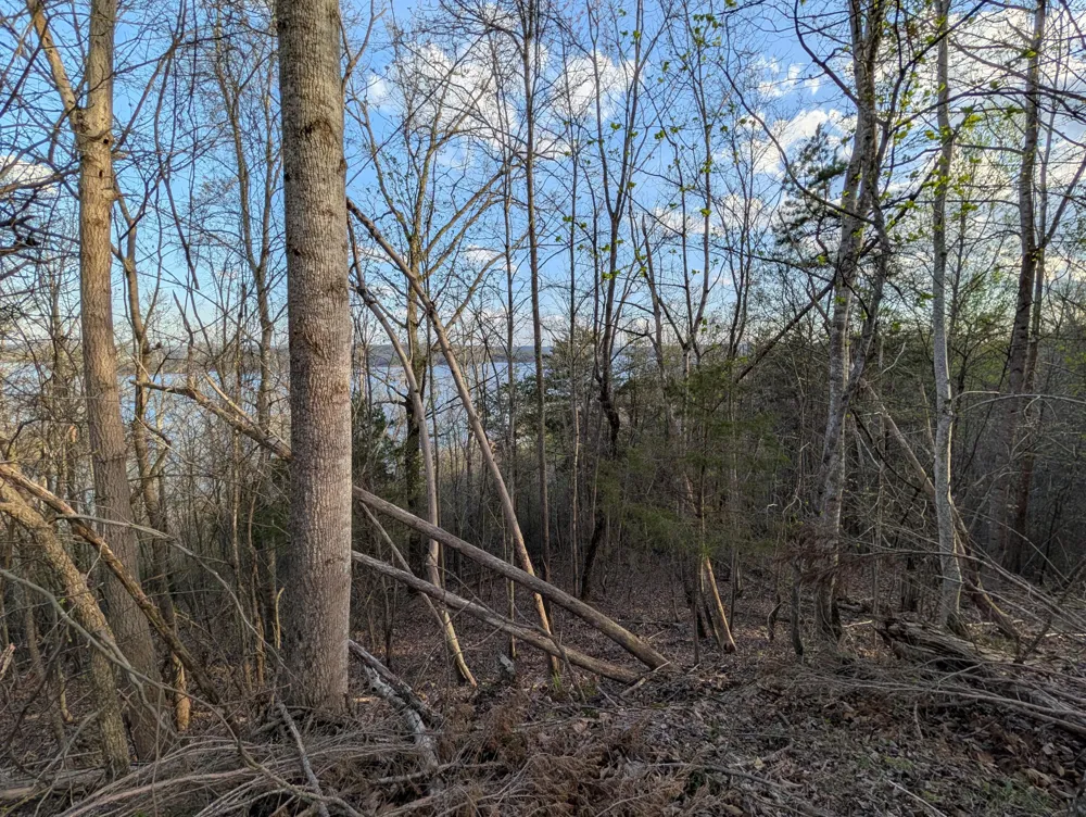 106 Eerie Point Rockwood, TN 37854