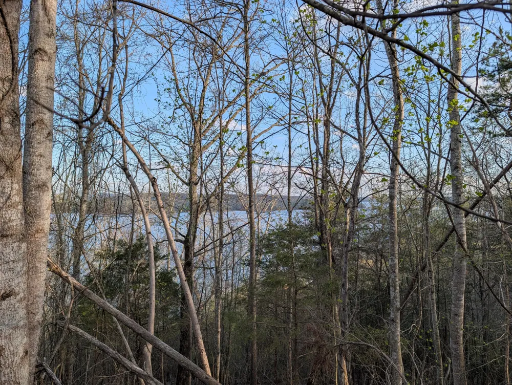 106 Eerie Point Rockwood, TN 37854