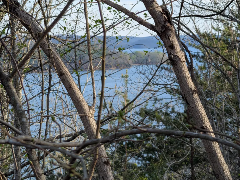 106 Eerie Point Rockwood, TN 37854