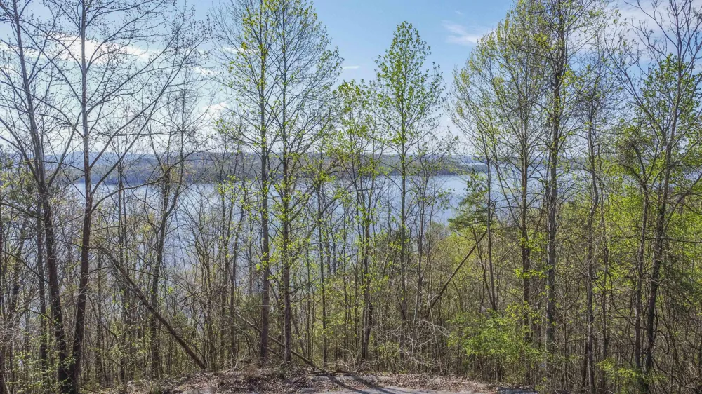 106 Eerie Point Rockwood, TN 37854
