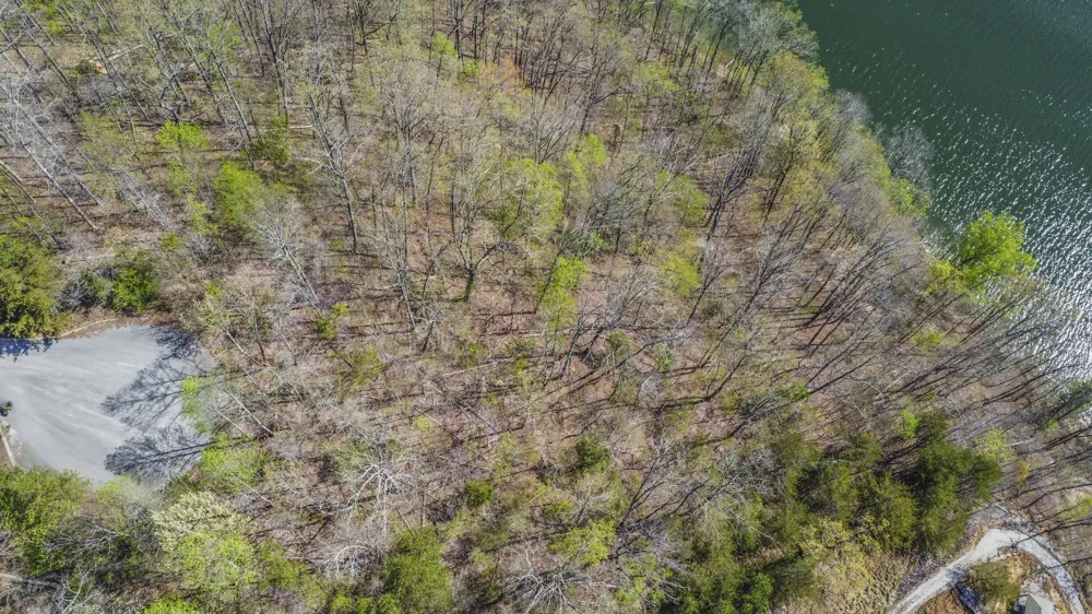 106 Eerie Point Rockwood, TN 37854