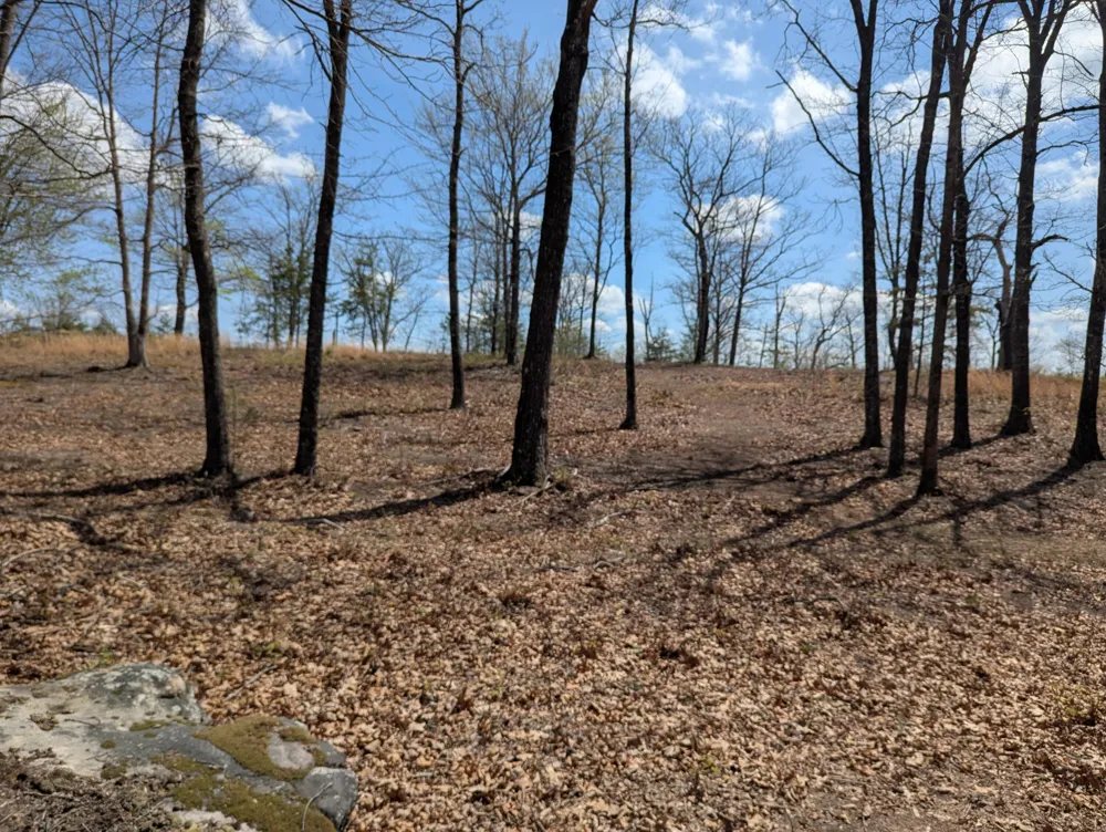 6 Escape Drive Evensville, TN 37332