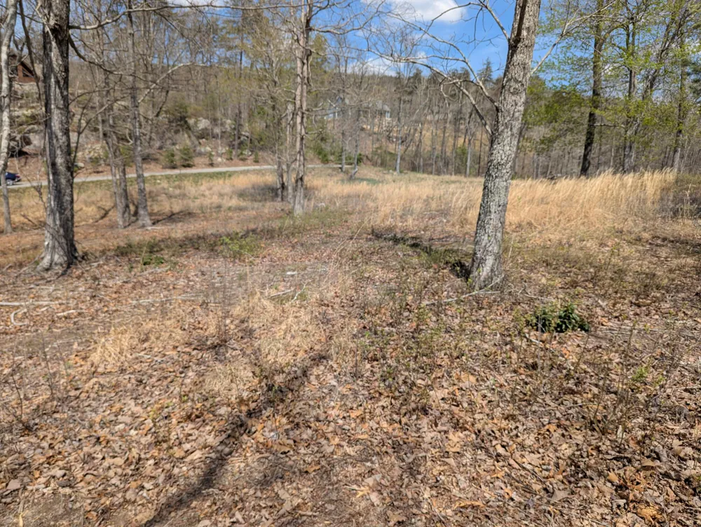 6 Escape Drive Evensville, TN 37332