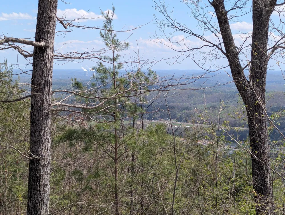 6 Escape Drive Evensville, TN 37332