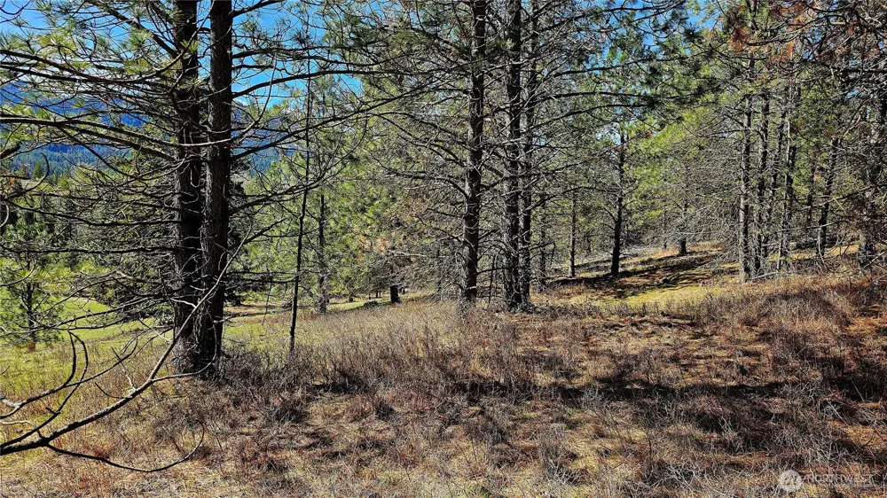 2068 Addy-Gifford Road Addy, WA 99101