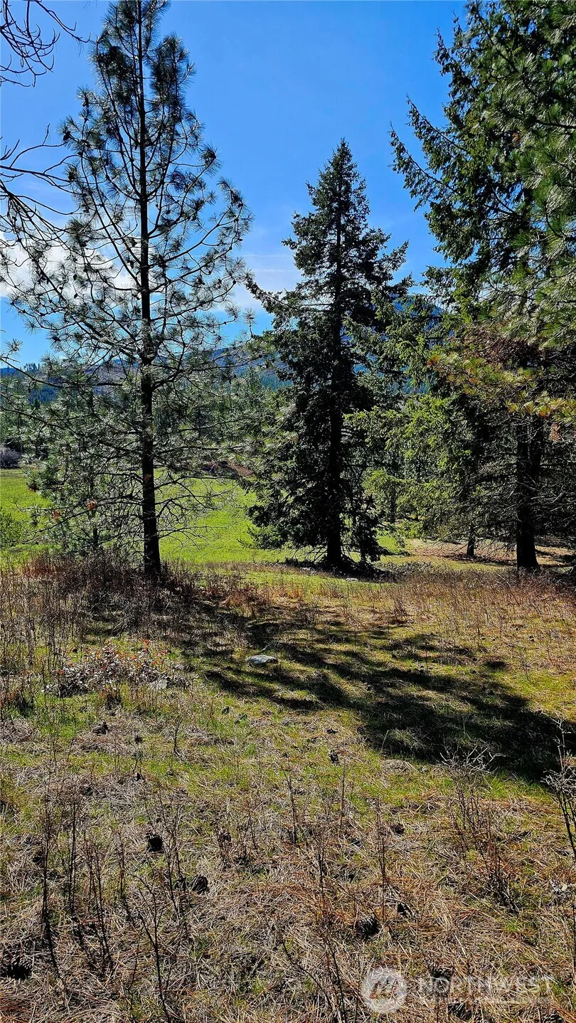 2068 Addy-Gifford Road Addy, WA 99101
