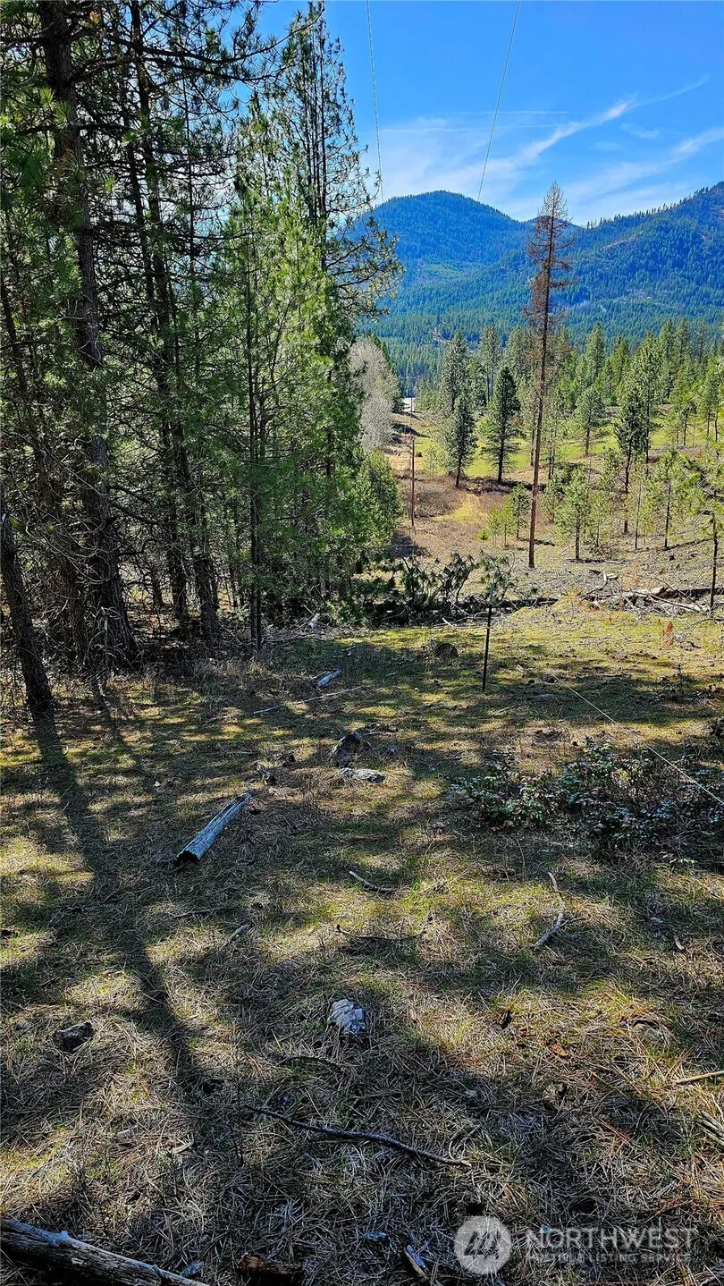 2068 Addy-Gifford Road Addy, WA 99101