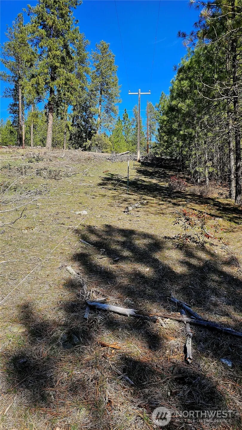 2068 Addy-Gifford Road Addy, WA 99101
