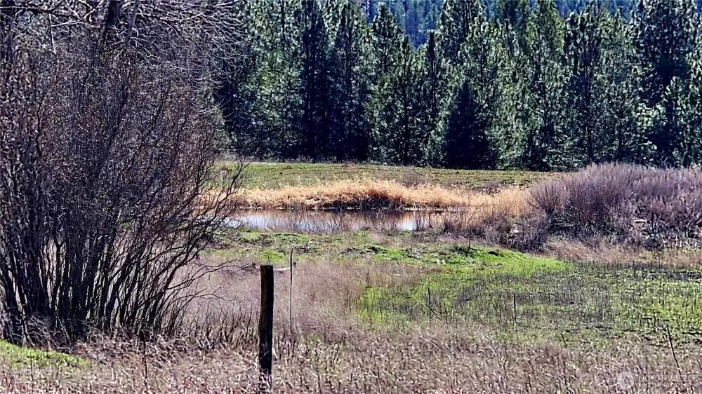 2068 Addy-Gifford Road Addy, WA 99101
