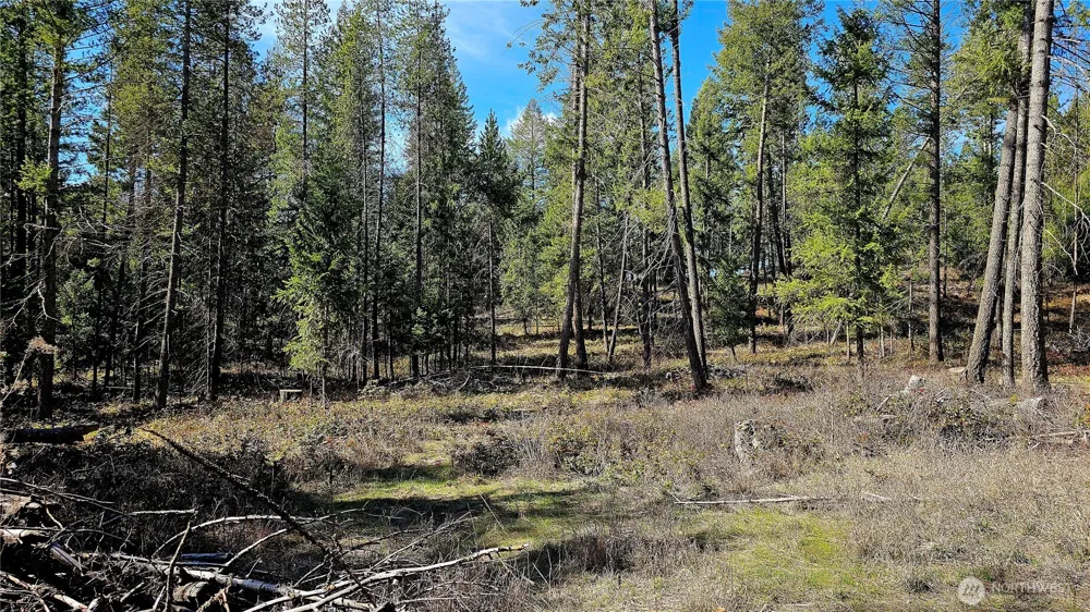 2068 Addy-Gifford Road Addy, WA 99101