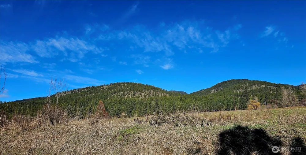 2068 Addy-Gifford Road Addy, WA 99101
