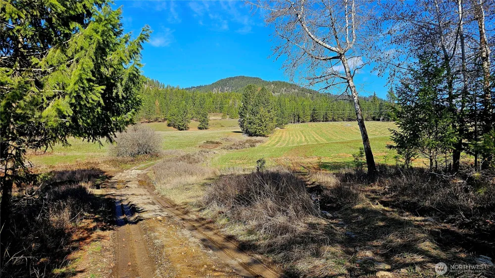 2068 Addy-Gifford Road Addy, WA 99101