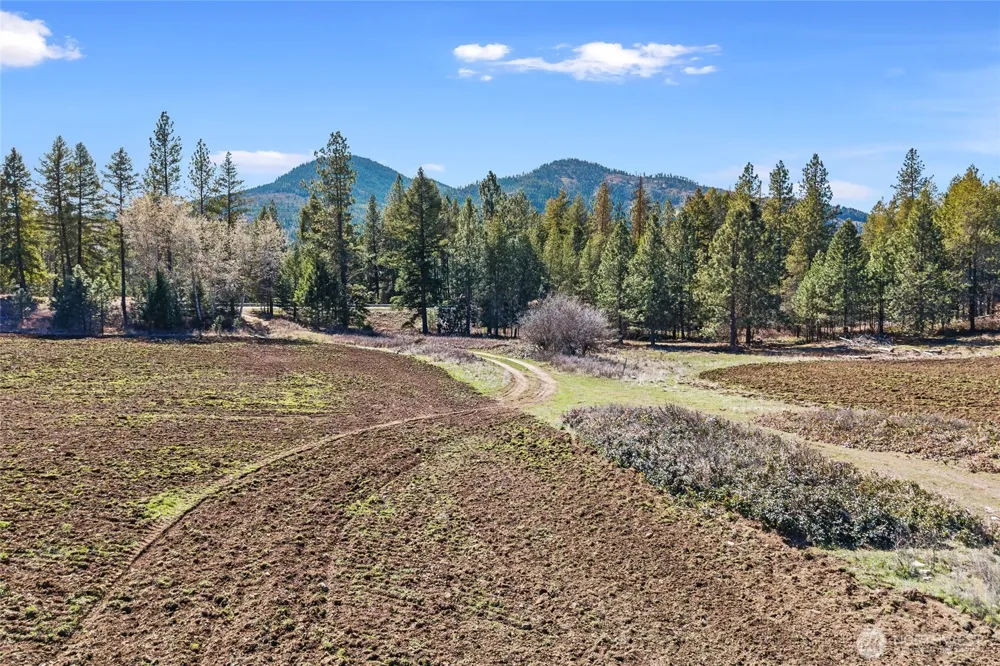 2068 Addy-Gifford Road Addy, WA 99101