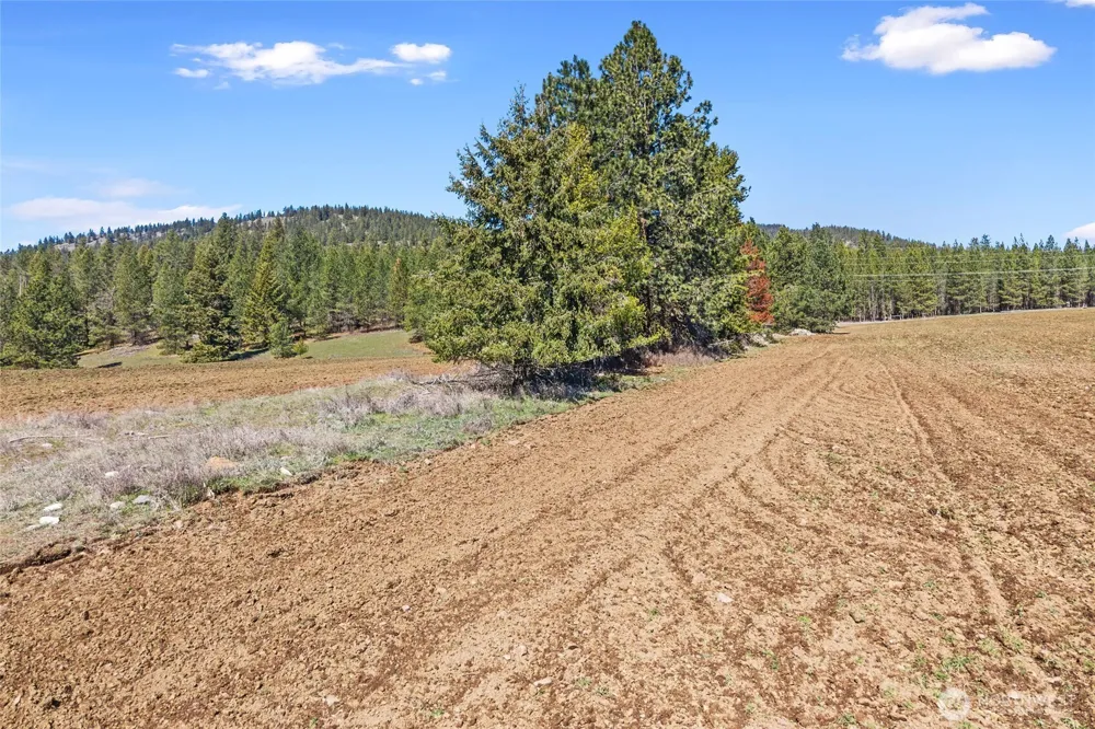 2068 Addy-Gifford Road Addy, WA 99101