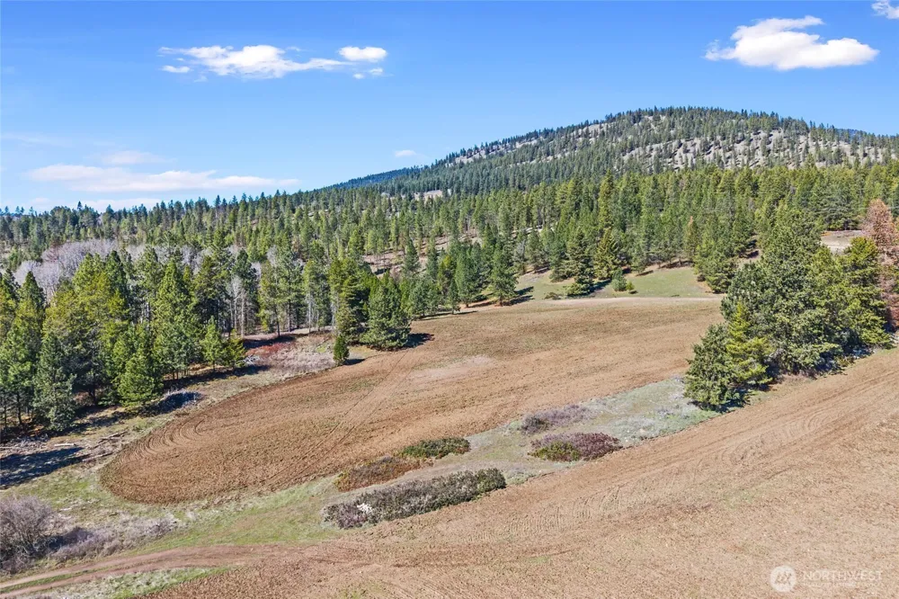 2068 Addy-Gifford Road Addy, WA 99101