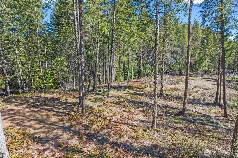 2068 Addy-Gifford Road Addy, WA 99101
