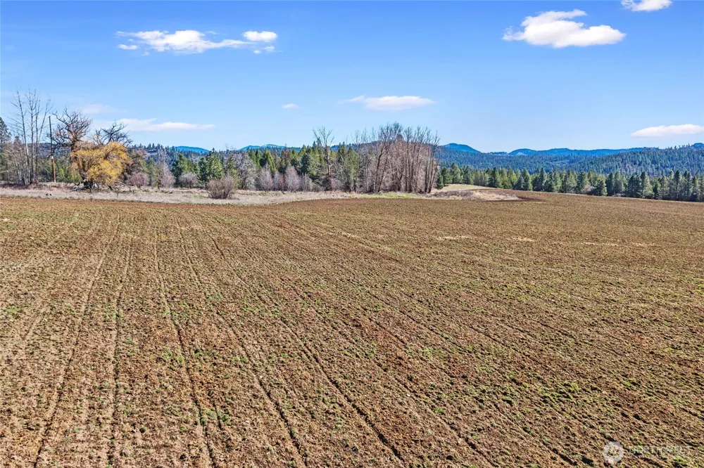 2068 Addy-Gifford Road Addy, WA 99101