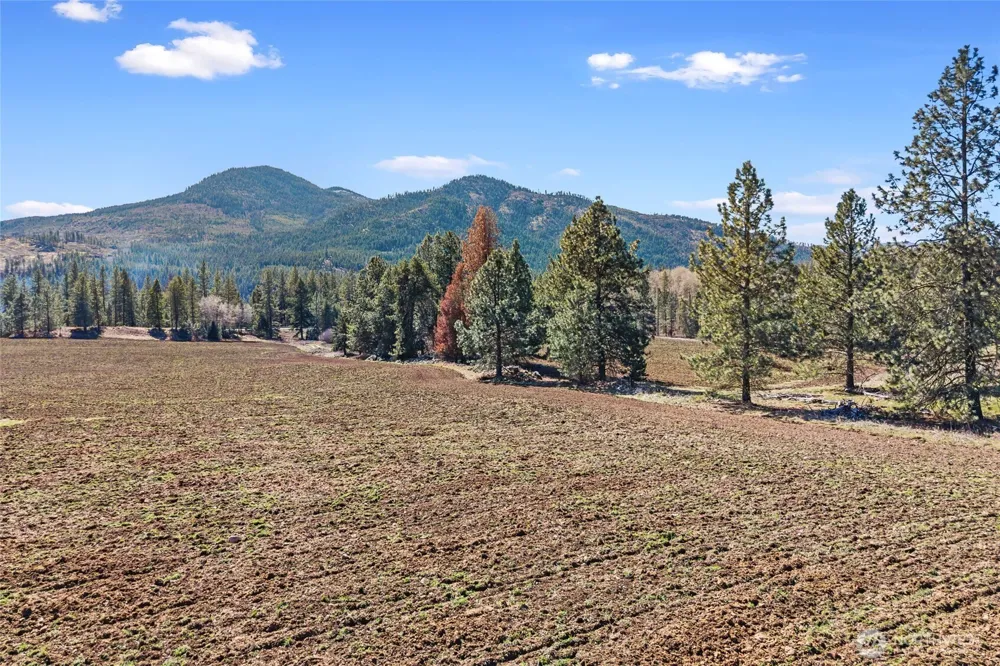 2068 Addy-Gifford Road Addy, WA 99101