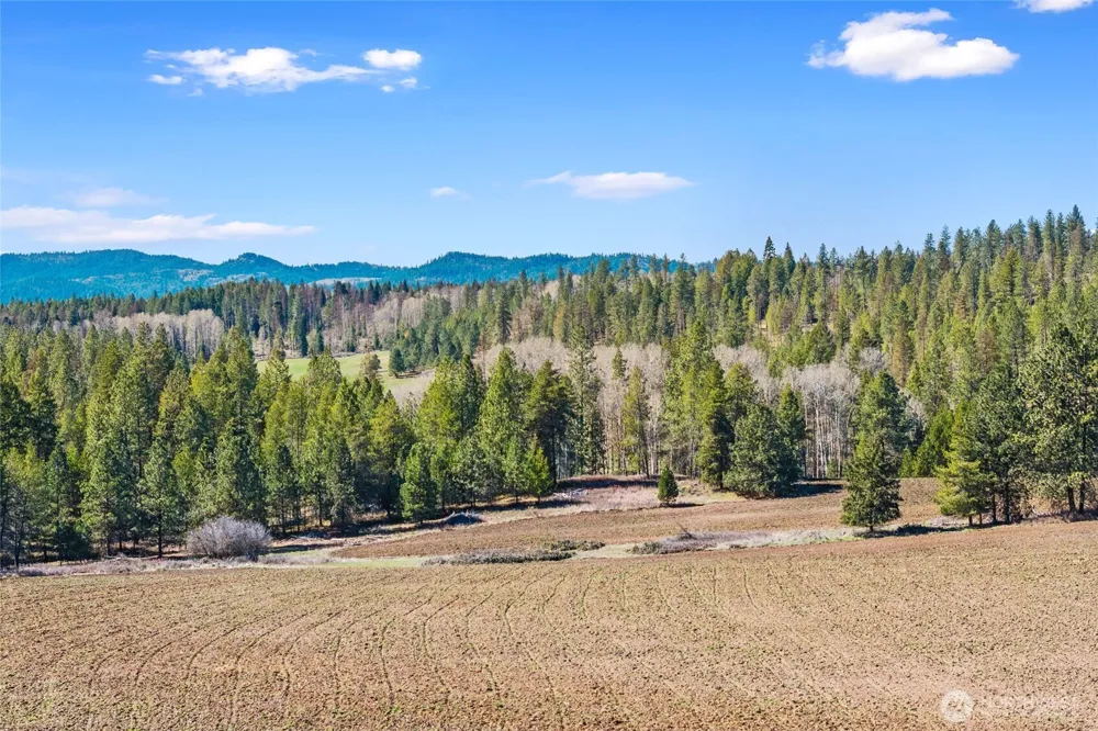 2068 Addy-Gifford Road Addy, WA 99101