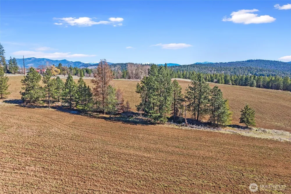 2068 Addy-Gifford Road Addy, WA 99101