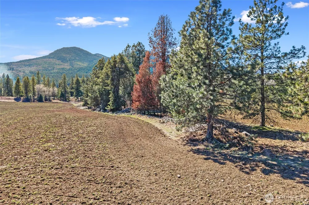 2068 Addy-Gifford Road Addy, WA 99101