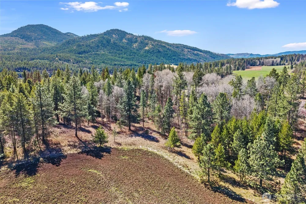 2068 Addy-Gifford Road Addy, WA 99101