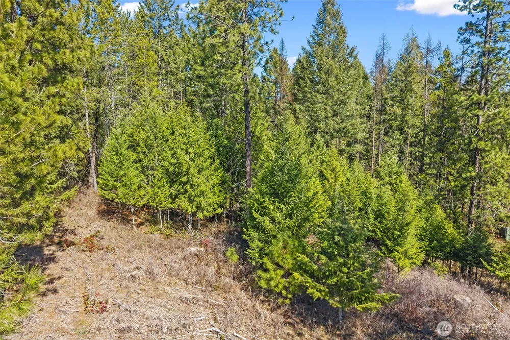 2068 Addy-Gifford Road Addy, WA 99101