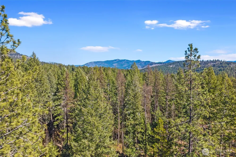 2068 Addy-Gifford Road Addy, WA 99101
