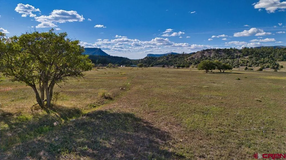 4107 Rd 31 Cahone, CO 81324