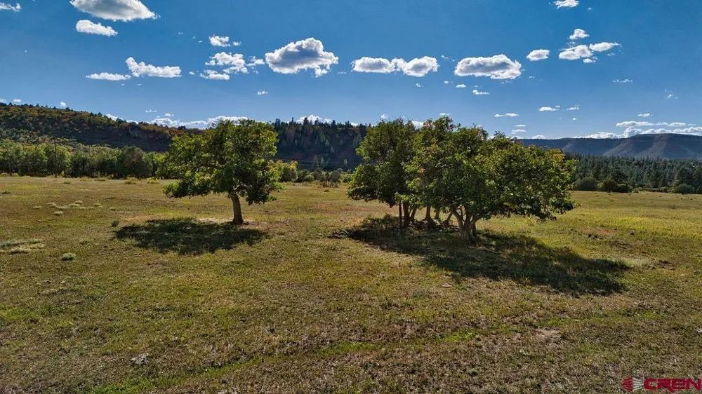 4107 Rd 31 Cahone, CO 81324