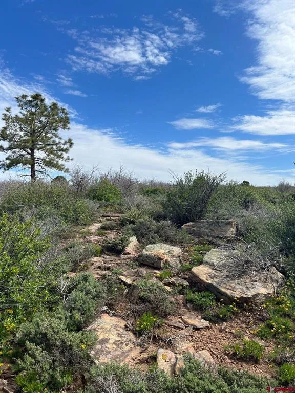 30 County Road C-3 Dove Creek, CO 81324