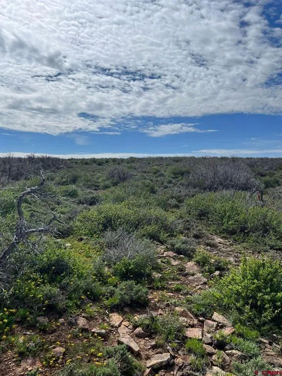 30 County Road C-3 Dove Creek, CO 81324