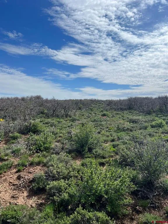 30 County Road C-3 Dove Creek, CO 81324
